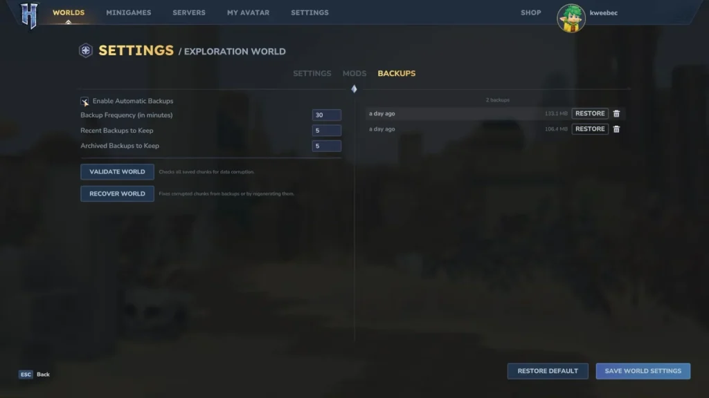 hytale multi instance